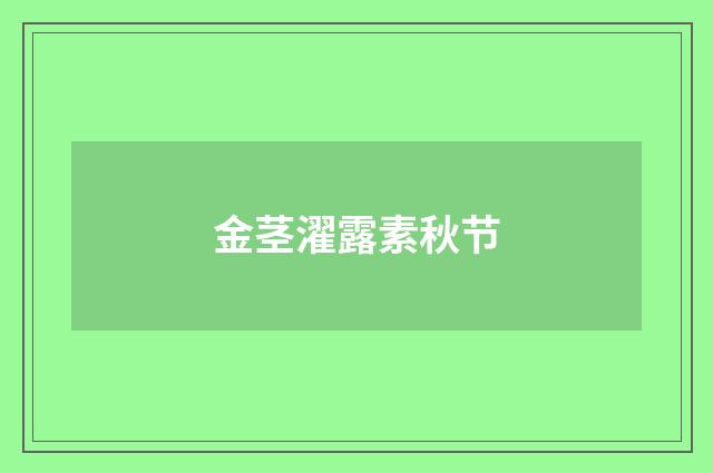 金茎濯露素秋节