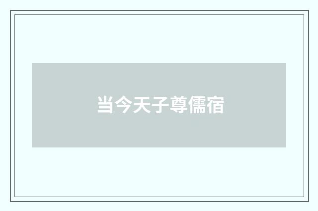 当今天子尊儒宿