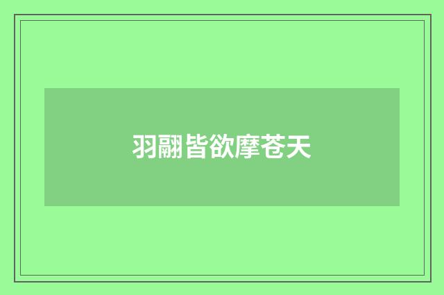 羽翮皆欲摩苍天