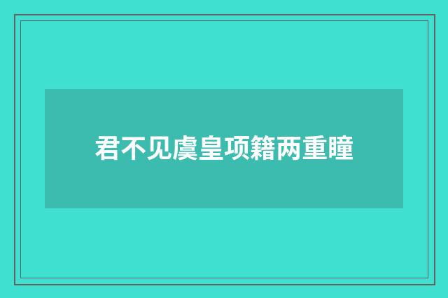 君不见虞皇项籍两重瞳