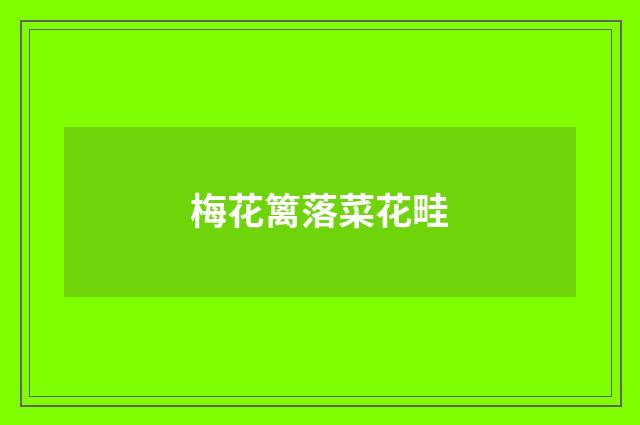 梅花篱落菜花畦