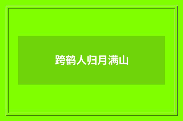 跨鹤人归月满山
