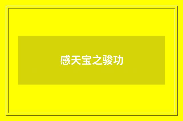 感天宝之骏功