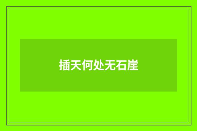 插天何处无石崖