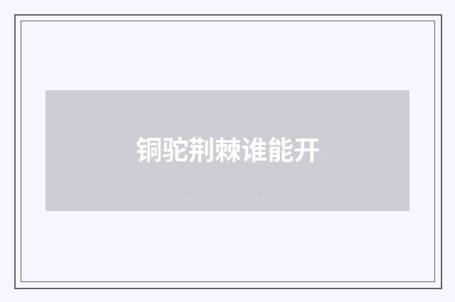 铜驼荆棘谁能开