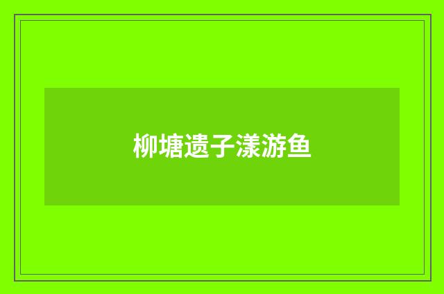 柳塘遗子漾游鱼