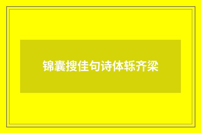 锦囊搜佳句诗体轹齐梁