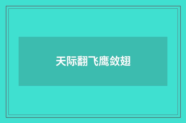 天际翻飞鹰敛翅