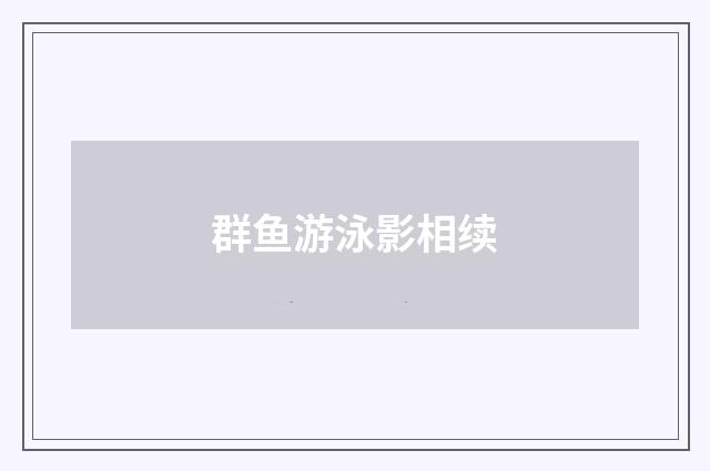 群鱼游泳影相续