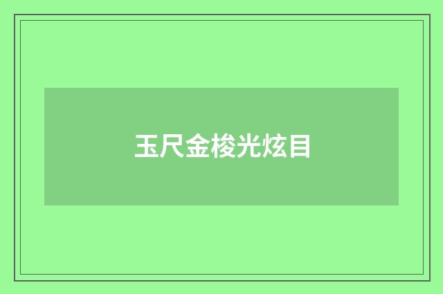 玉尺金梭光炫目