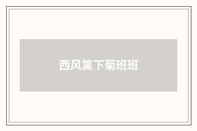 西风篱下菊班班