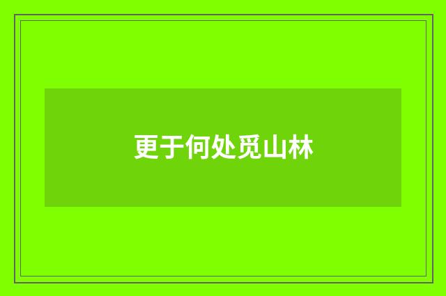 更于何处觅山林