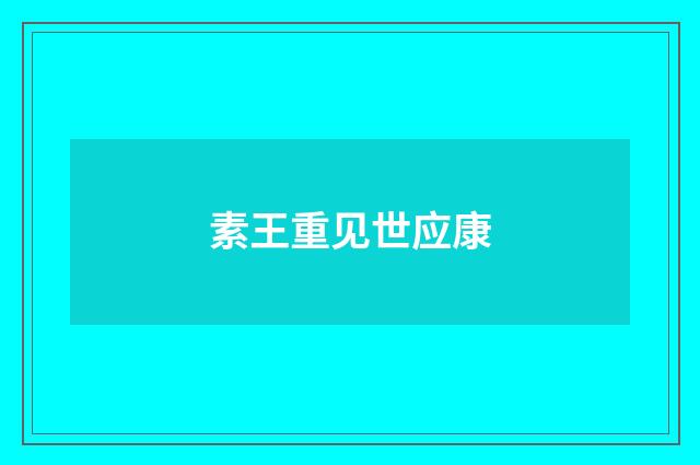 素王重见世应康