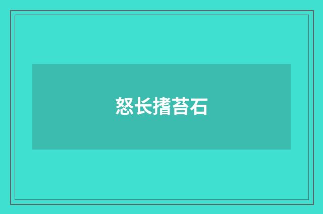 怒长搘苔石