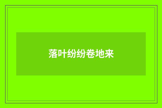 落叶纷纷卷地来