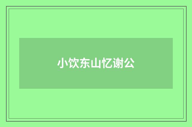 小饮东山忆谢公