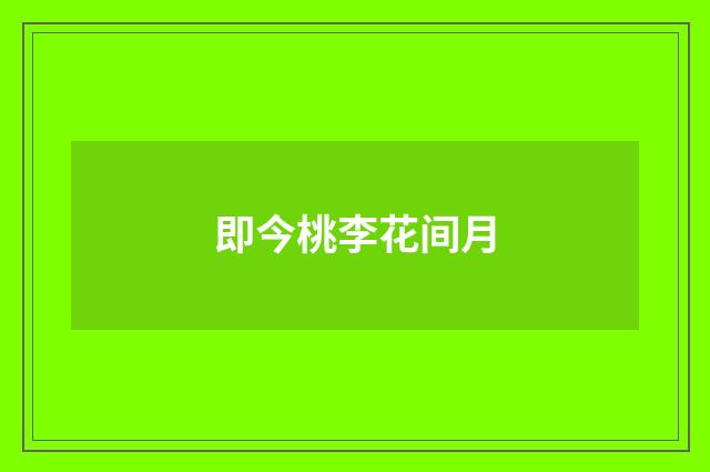 即今桃李花间月