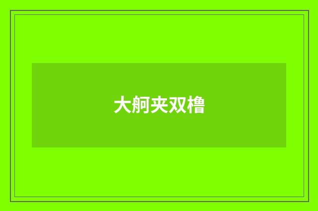 大舸夹双橹