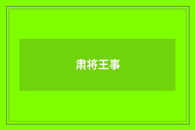 肃将王事