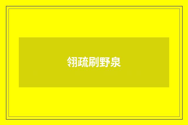 翎疏刷野泉
