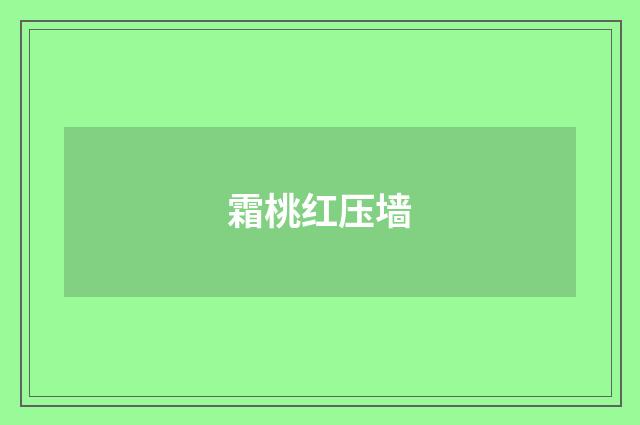 霜桃红压墙