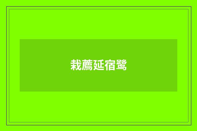 栽薦延宿鹭