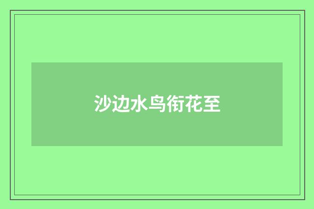 沙边水鸟衔花至