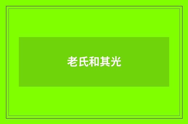 老氏和其光