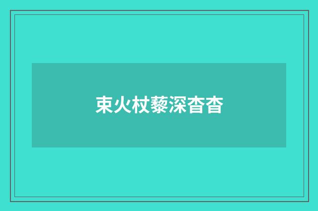 束火杖藜深杳杳