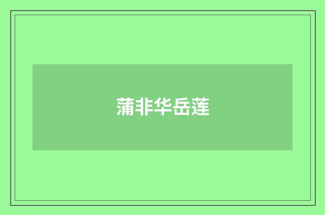 蒲非华岳莲