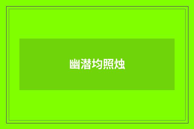 幽潜均照烛