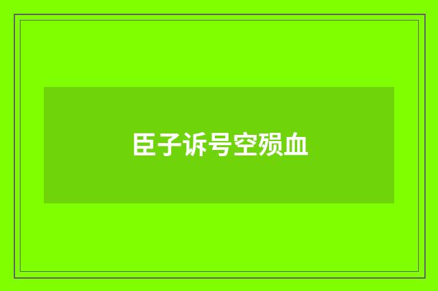 臣子诉号空殒血