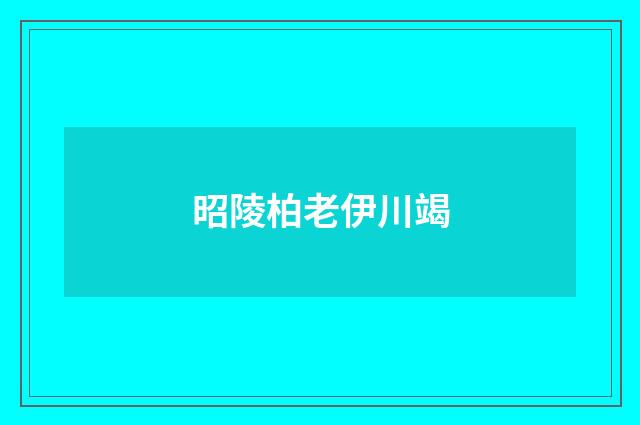 昭陵柏老伊川竭