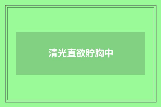 清光直欲貯胸中