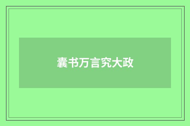 囊书万言究大政