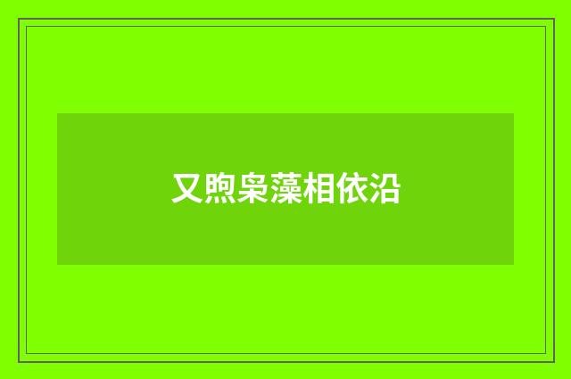 又煦枭藻相依沿