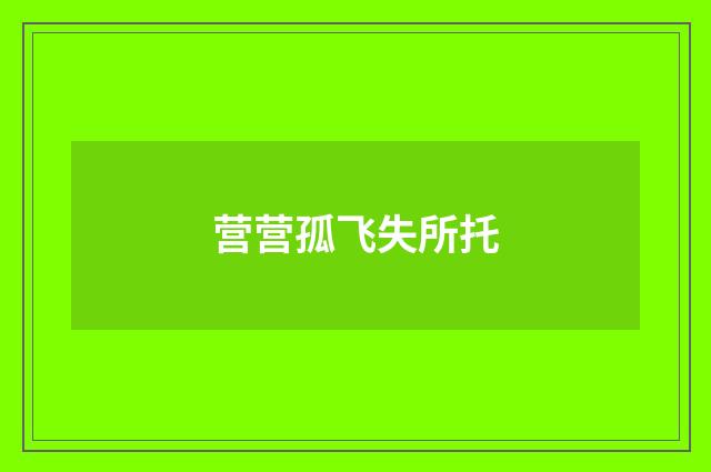 营营孤飞失所托
