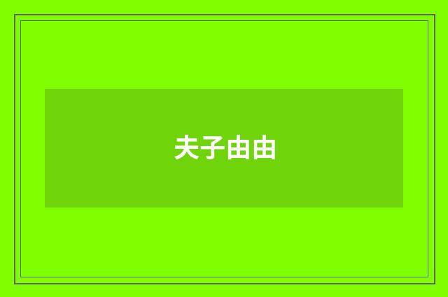 夫子由由