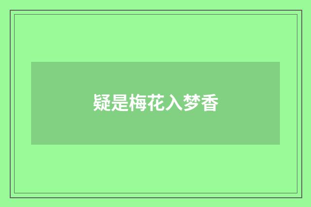 疑是梅花入梦香