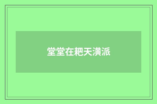 堂堂在耙天潢派