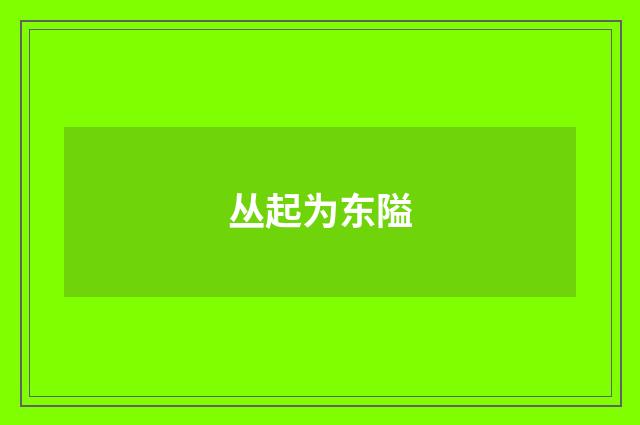 丛起为东隘