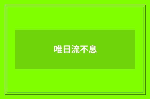 唯日流不息