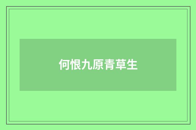 何恨九原青草生