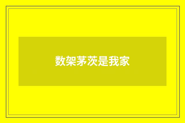 数架茅茨是我家