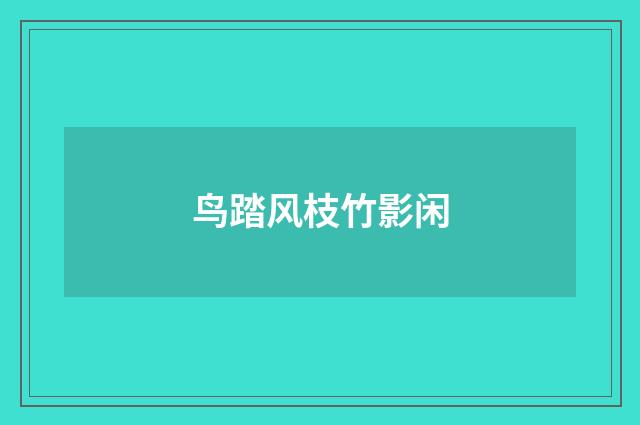 鸟踏风枝竹影闲