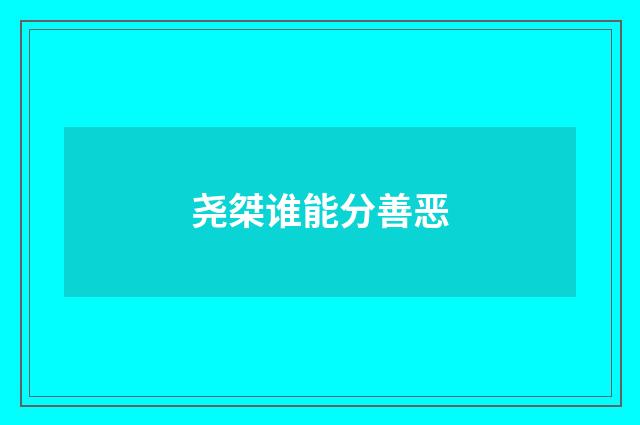 尧桀谁能分善恶