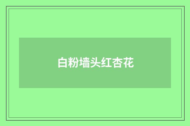 白粉墙头红杏花