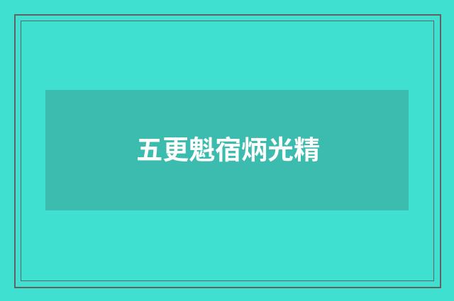 五更魁宿炳光精