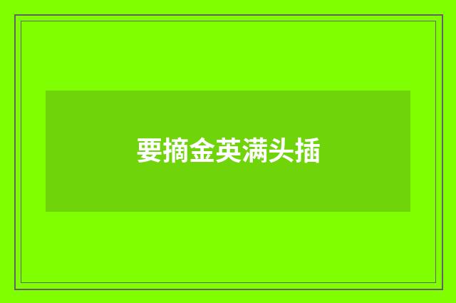 要摘金英满头插