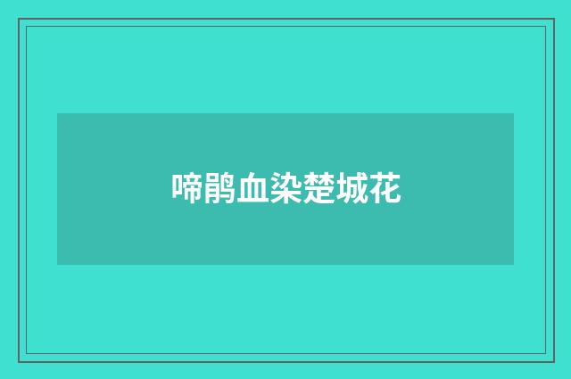 啼鹃血染楚城花